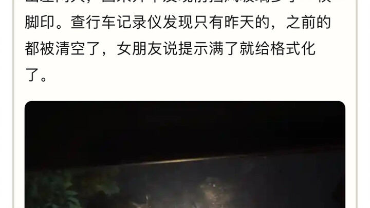 سلحفاة يومية