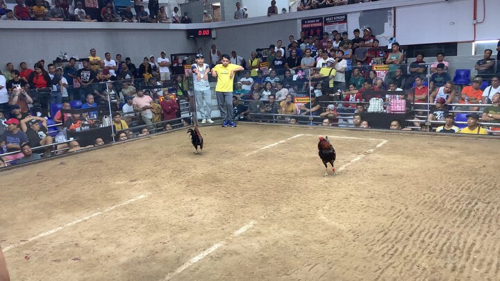 Ung papatay kana pero lumaban ka dahil mayabang ung kalaba mo