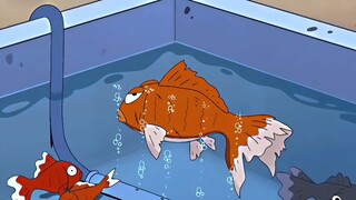 “小新:气运之子在这 你所做的都是徒劳”