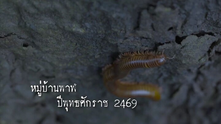 Payakkha (2561) CH8 EP.1 CR.VIU