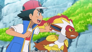 打遍后院火系后，大师兄试图挑战火焰鸟！