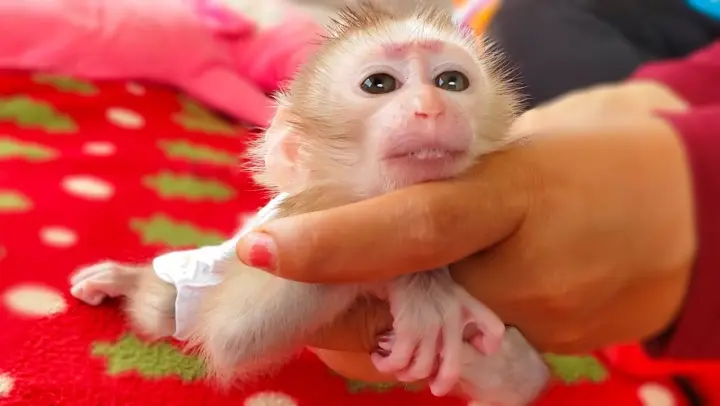 Deeply Care & Love!! Put on a new diaper & feeds milk for tiny adorable Luca after waking up