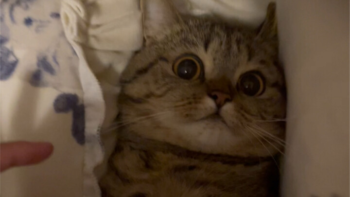 I don’t think she’s cute at all.