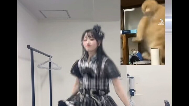 งานเลี้ยงรุ่นของผู้สูงอายุ