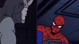 "Rhino, why is your head so pointy?"