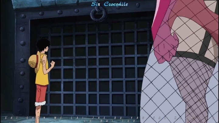 The “Version King” Crocodile