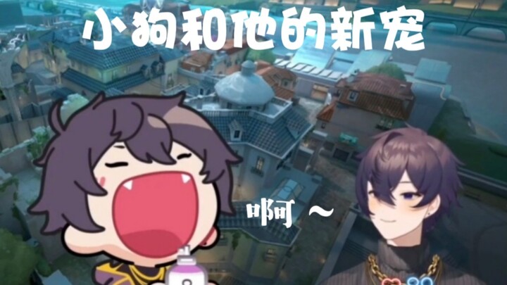 【Shoto】只是小狗在玩他的新玩具