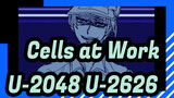 [Cells at Work!/Animatic] U-2048&U-2626 - Batsu Game