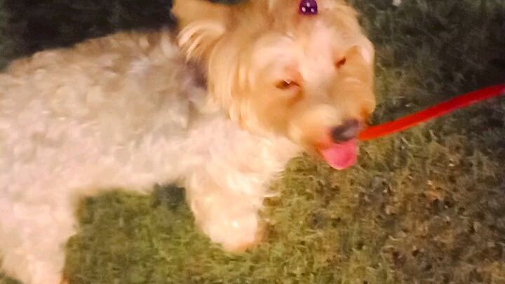 My little gio so adorable🥰🥰🥰🥰