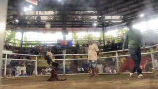 2nd fight W 2hits champion