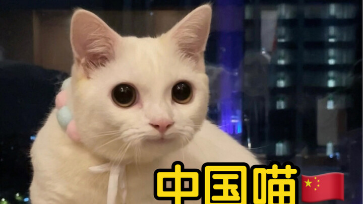 鉴定完毕，是自己人‼️