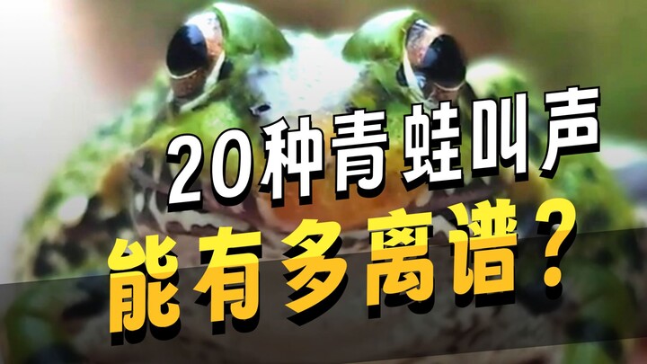 พามารู้จักเสียงร้องของกบ 23 ชนิด คุณชอบเสียงไหนที่สุด?