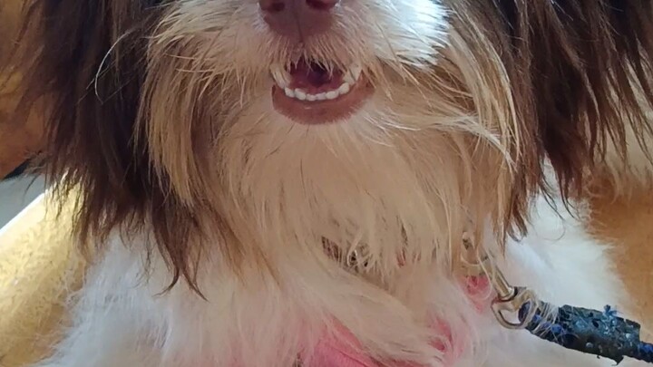 this is chloe her nickname is wewe...