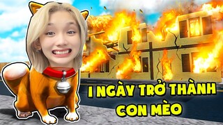 Ruby 1 Ngày trở Thành " CON MÈO " Và Bị Chủ Đuổi Khỏi Nhà Vì Quá báo ???