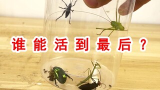 把各种毒虫放进同一个瓶子里！谁能活到最后？