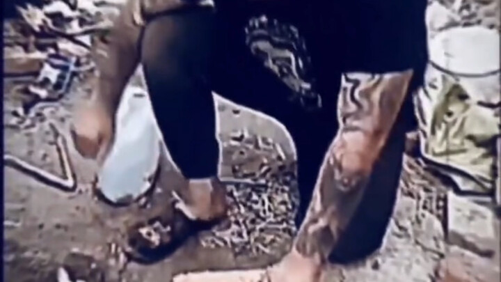 Brother Tiger really plays with bricks for real.