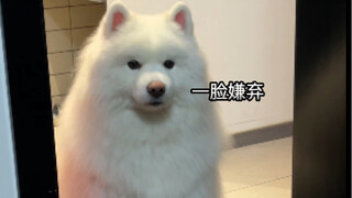 Tabung gas harus makan tabung gas...