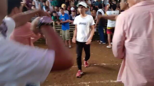 Moon Walker Cross To Claret 9 months 2x winner in 1 month