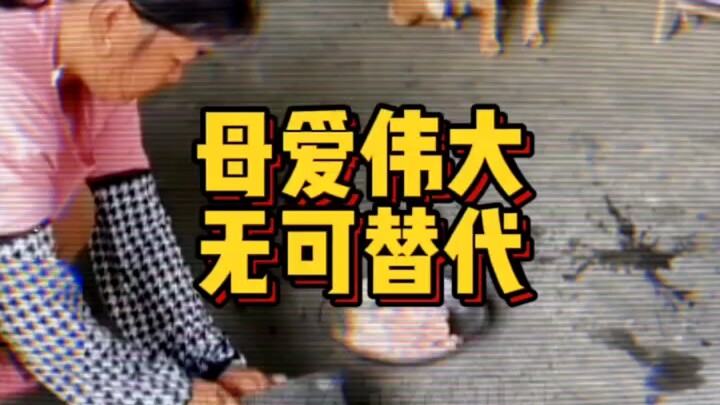 母爱的伟大无可替代。