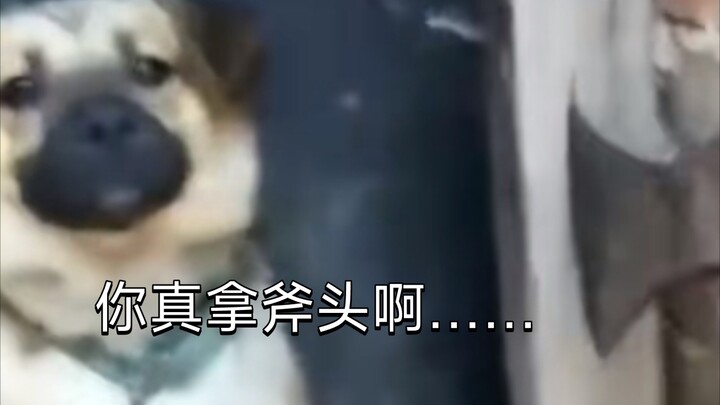 ฉันยังชอบท่าทางหยิ่งยโสโอ้อวดของเธออยู่นะ กลับมาเป็นแบบเดิมเถอะ