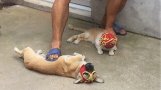 You'll never be able to defeat me.