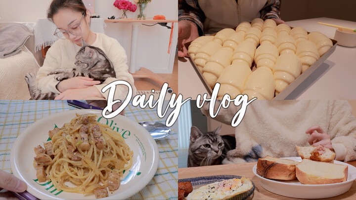VLOG｜Kisah Tinggal Sendiri di Musim Dingin Bersama Satu Orang dan Satu Kucing｜Sibuk pun Tetap Harus 