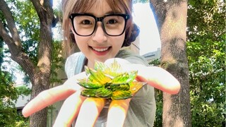 你们催的佛怒火莲终于来啦！