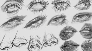 【画画教程】怎么画各个角度的眼睛、鼻子和嘴巴