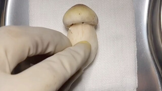 Doctors use mushrooms to demonstrate how to become a long-distance running champion scientifically a