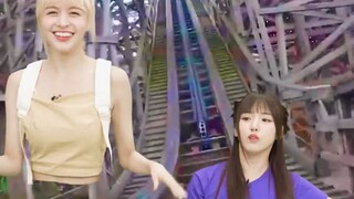 NMIXX最新回归曲Roller Coaster"过山车"版应援法