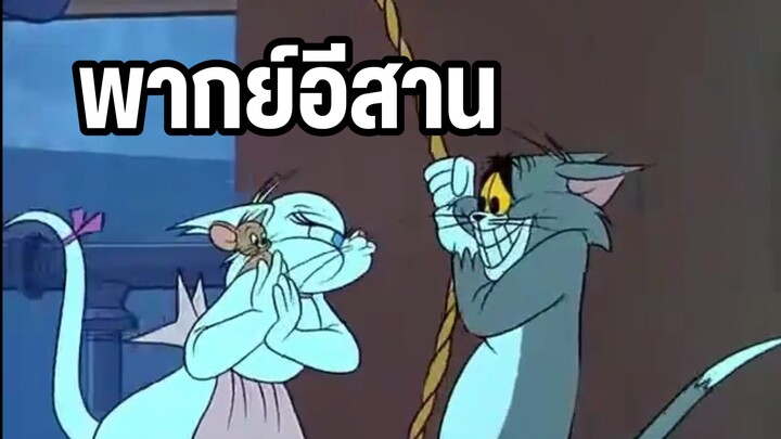 ทอมแอนด์เจอร์รี่ (พากย์อีสาน) ตอน แมวสาวสุดโหด