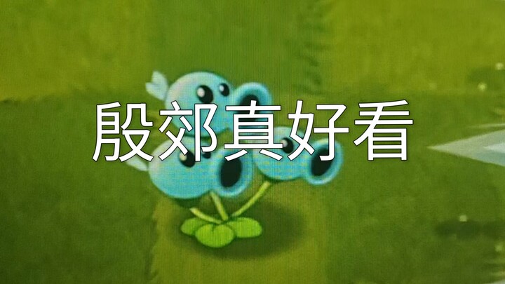 การมาถึงของเด็กชายตัวน้อย!