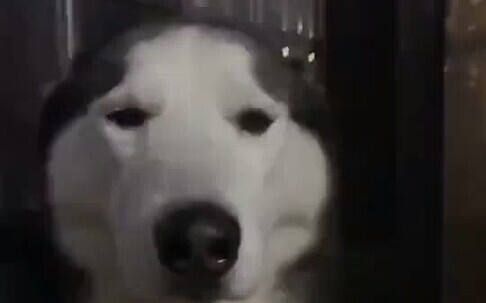 Show me some respect—open your eyes, hahaha!