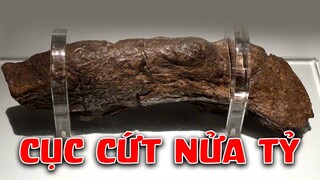 Khoảnh Khắc Khi C.Ứ.T Trở Nên Quý Hơn Cả Vàng