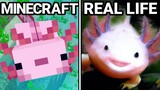 Minecraft VS Real Life!