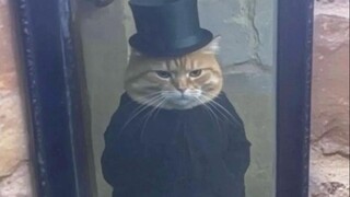 🐱"الوضع خطير بعض الشيء"🐱