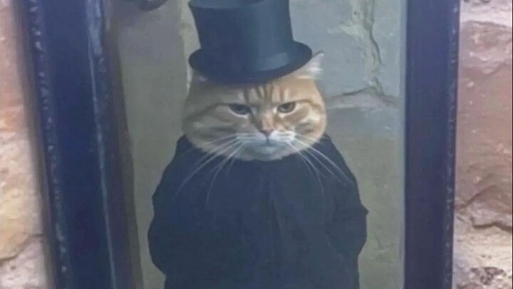 🐱“The situation is slightly serious”🐱