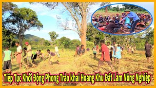 Bản São Pedro || Tiếp Tục Khởi Động Phong Trào Khai Hoang Khu Đất Làm Nông Nghiệp