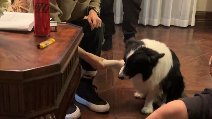 Sniper training the dog