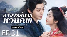 ตอนที่ 31