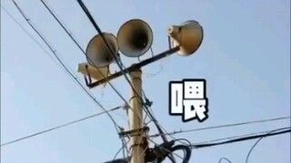 ความแตกต่างระหว่างเหนือ-ใต้