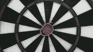 Bạn có thể bắn trúng lợn con không