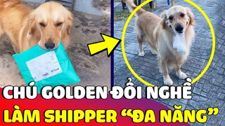 Chú Golden vô tình trở thành 'SHIPPER ĐA NĂNG' vì có con Sen là tính đồ Shopee 😎 | Gâu Đần