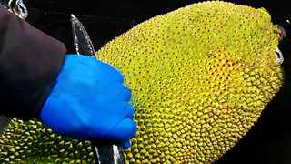 【Challenging the impossible】San Mao takes on a 48 pound melon. What he did at the end left me speechless！