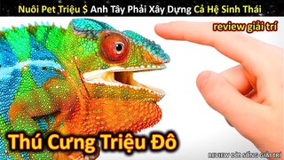 Review Khám Phá Tắc Kè Triệu Đô Thú Cưng Độc Lạ Của Dân Chơi || Review Giải Trí Đời Sống