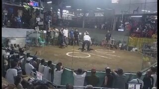 Duke husley lemon #2