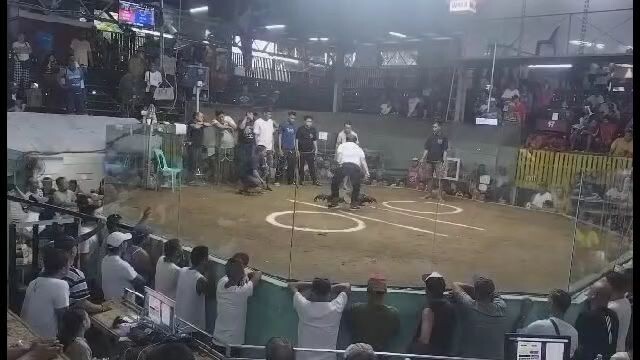 Duke husley lemon #2