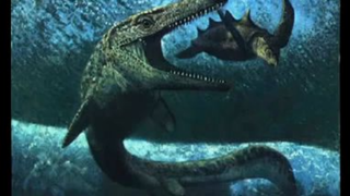 Florida Sea Monster Controversy