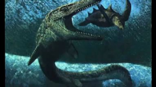 Animal Face-Off Croc vs. the Great White. - Bilibili