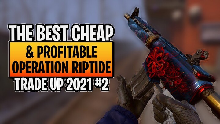 THE BEST CHEAP & PROFITABLE OPERATION RIPTIDE TRADE UP 2021 #2 | elsu